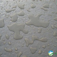 水泥基渗透结晶防水涂料 直销 防水涂料 防水涂料