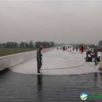 直销桥面防水涂料 SBS改性沥青桥面防水涂料优质桥面防水涂料
